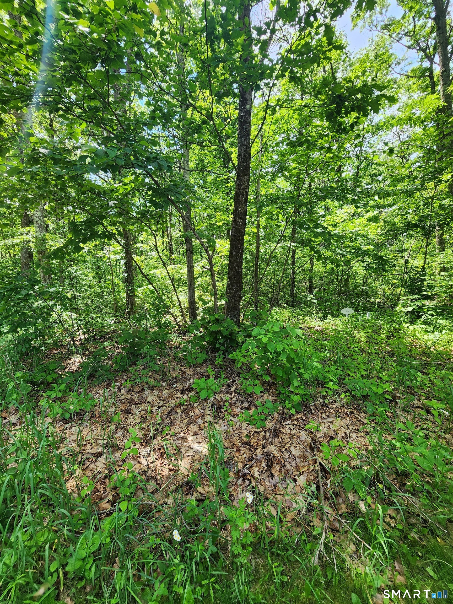 11 Old Paddock Lane Kent, CT 06785 - Photo 5 of 7