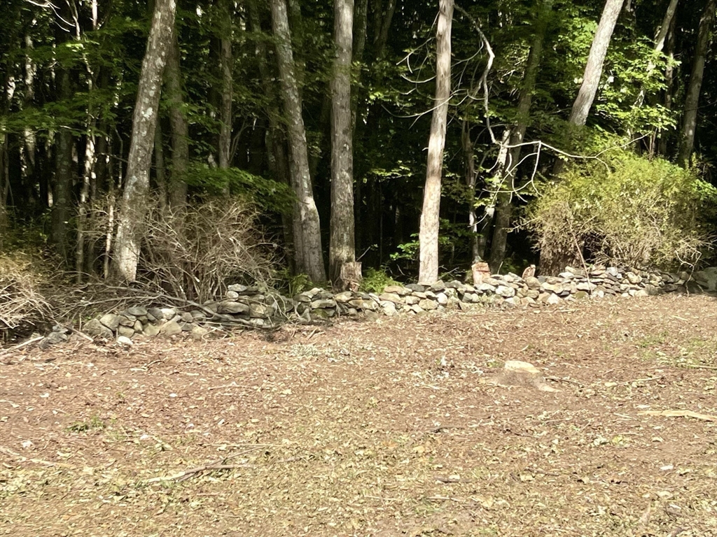 4 Ridge Road Hampden, MA 01036 - Photo 8 of 16