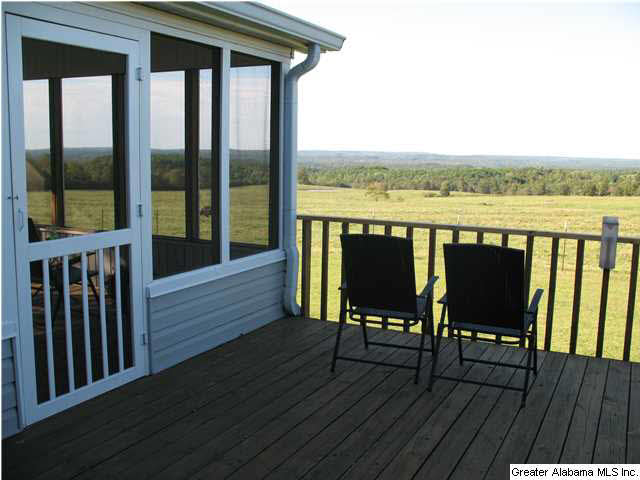465 Jones Chapel Loop Springville, AL 35146 - Photo 15 of 28