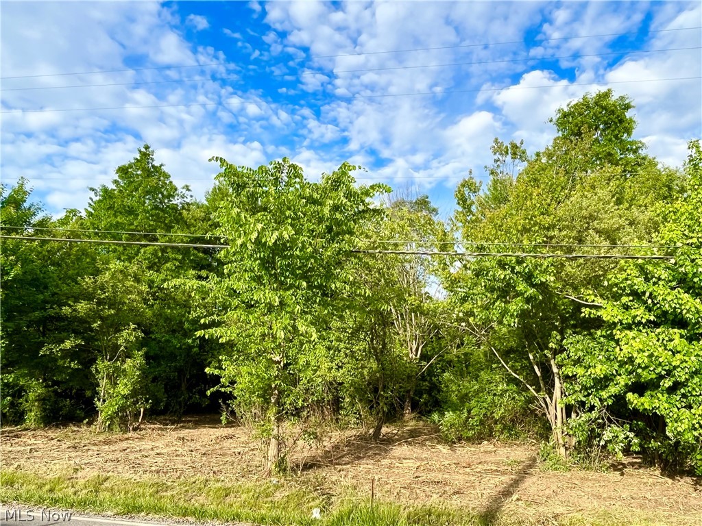 41 South Medina Line Road Wadsworth, OH 44281 - Photo 7 of 8 Gallery Image 7