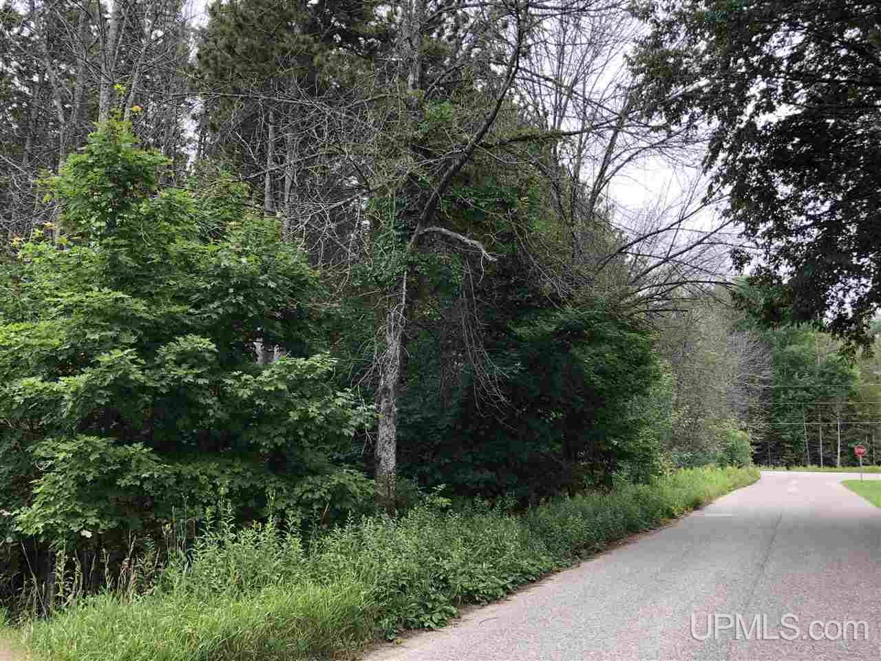 Tbd Arrowhead Road, Unit PARCEL B Manistique, MI 49854 - Photo 7 of 13