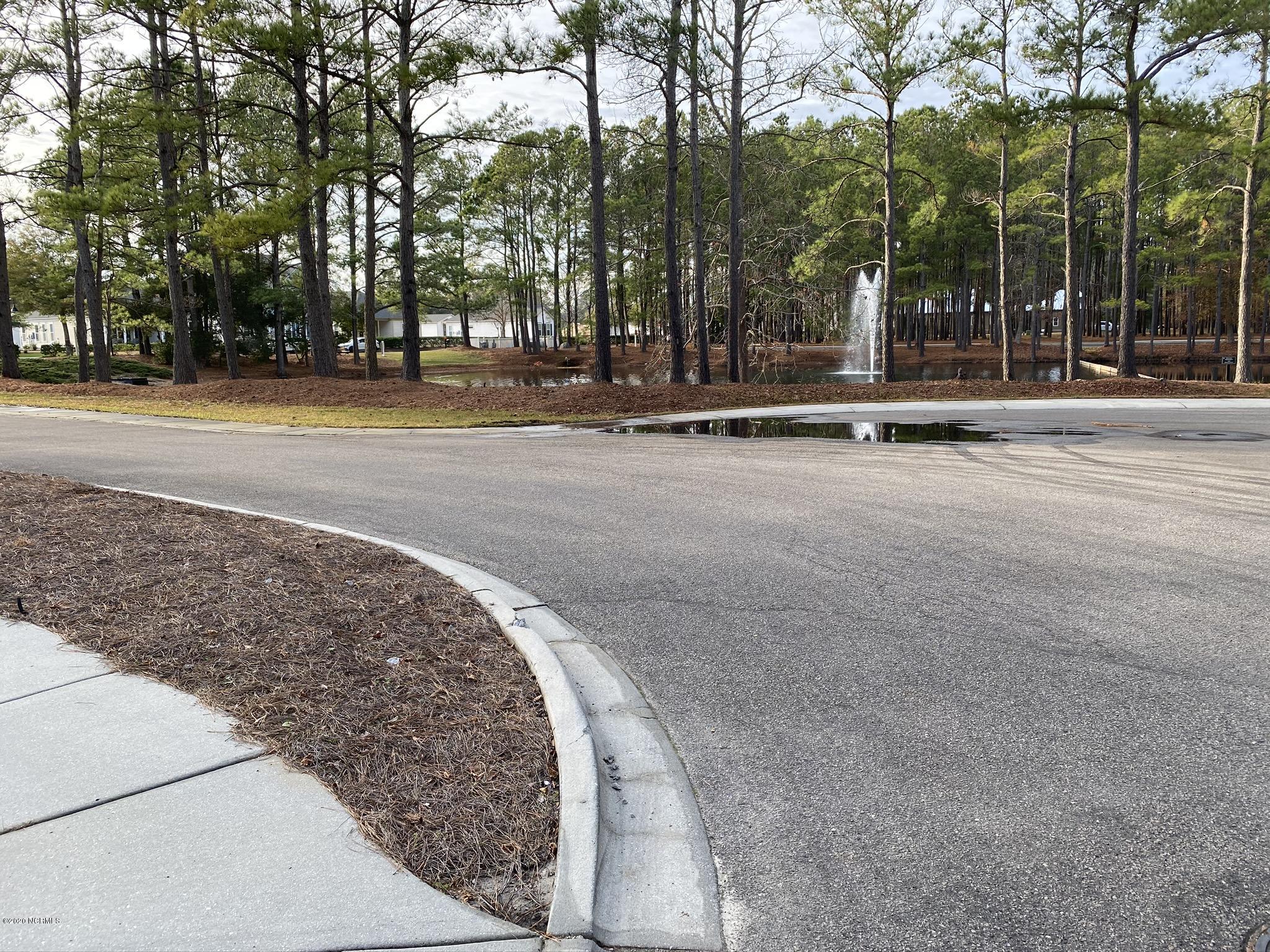 9161 East Lake Road Calabash, NC 28467 - Photo 14 of 23 Pond View