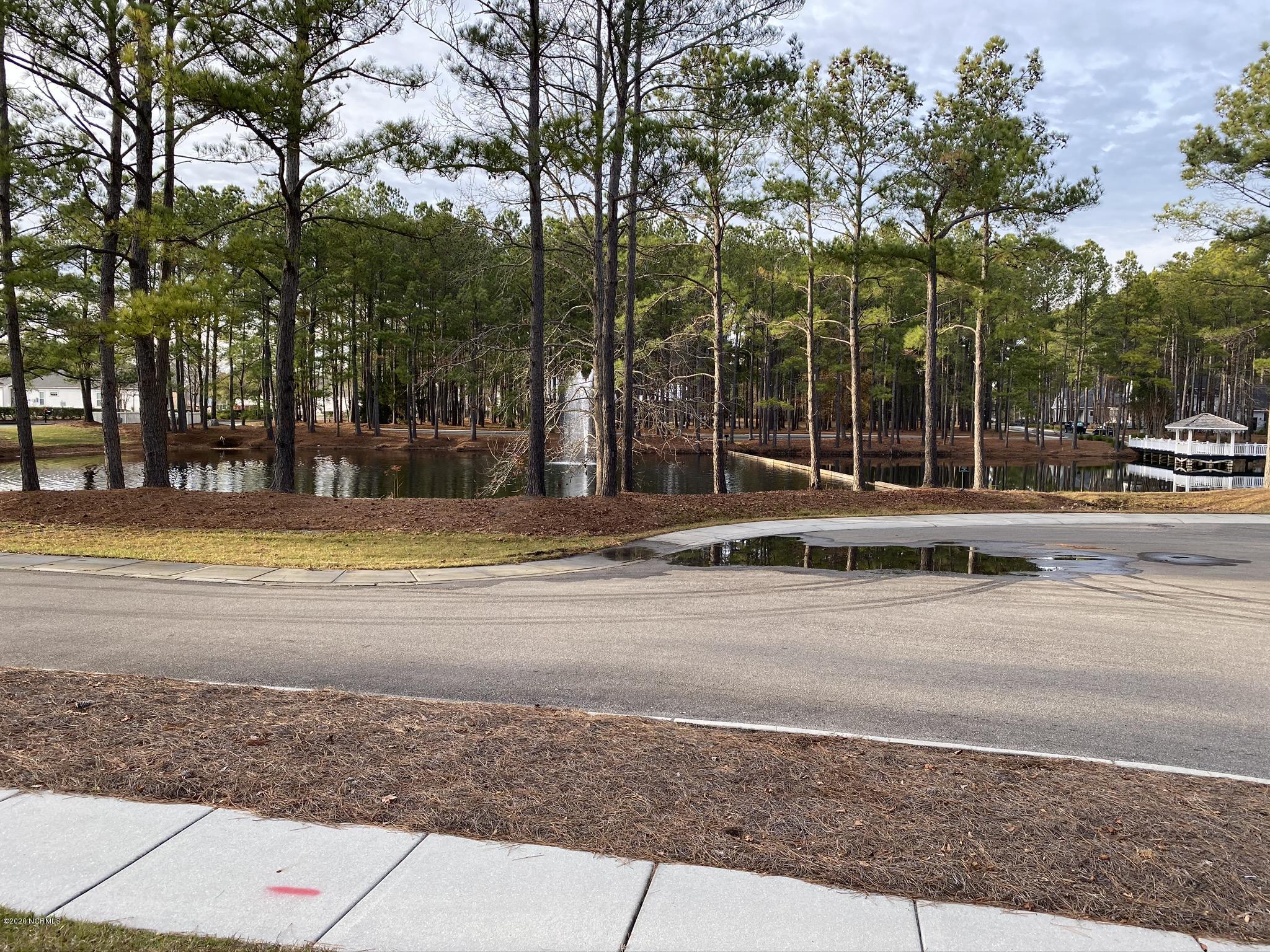 9161 East Lake Road Calabash, NC 28467 - Photo 20 of 23 Pond View