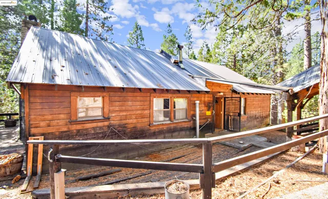 a view of backyard with a large tree