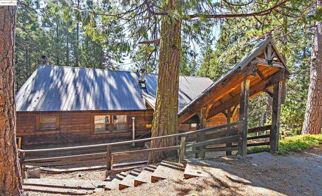 a view of backyard with wooden fence and large trees