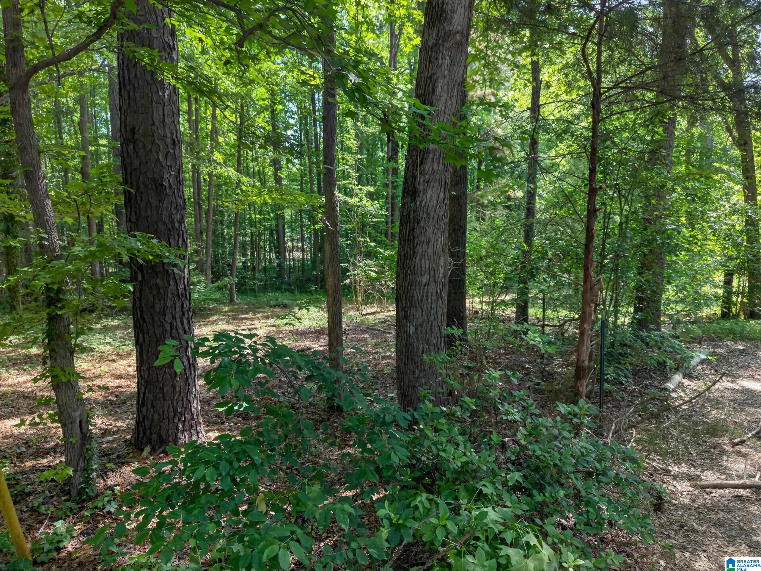 0 Pruitt Road Piedmont, AL 36272 - Photo 11 of 13
