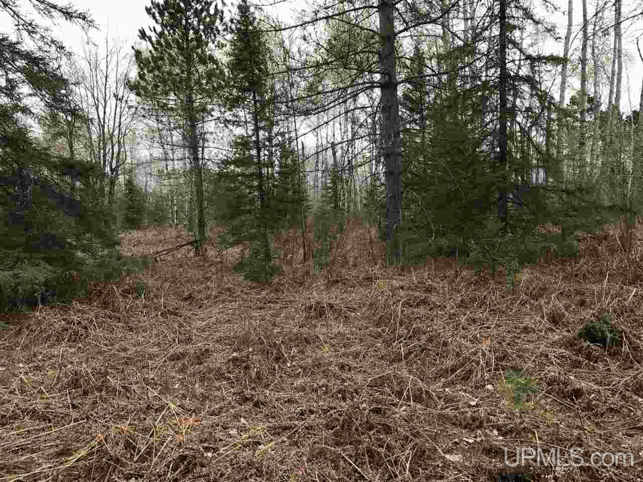 40-ac Kelso Road Crystal Falls, MI 49920 - Photo 8 of 21
