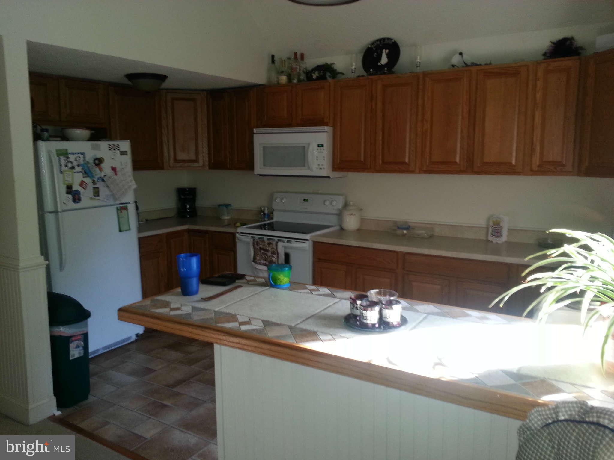 370 Nancy Jack Road Gerrardstown, WV 25420 - Photo 18 of 30 Kitchen