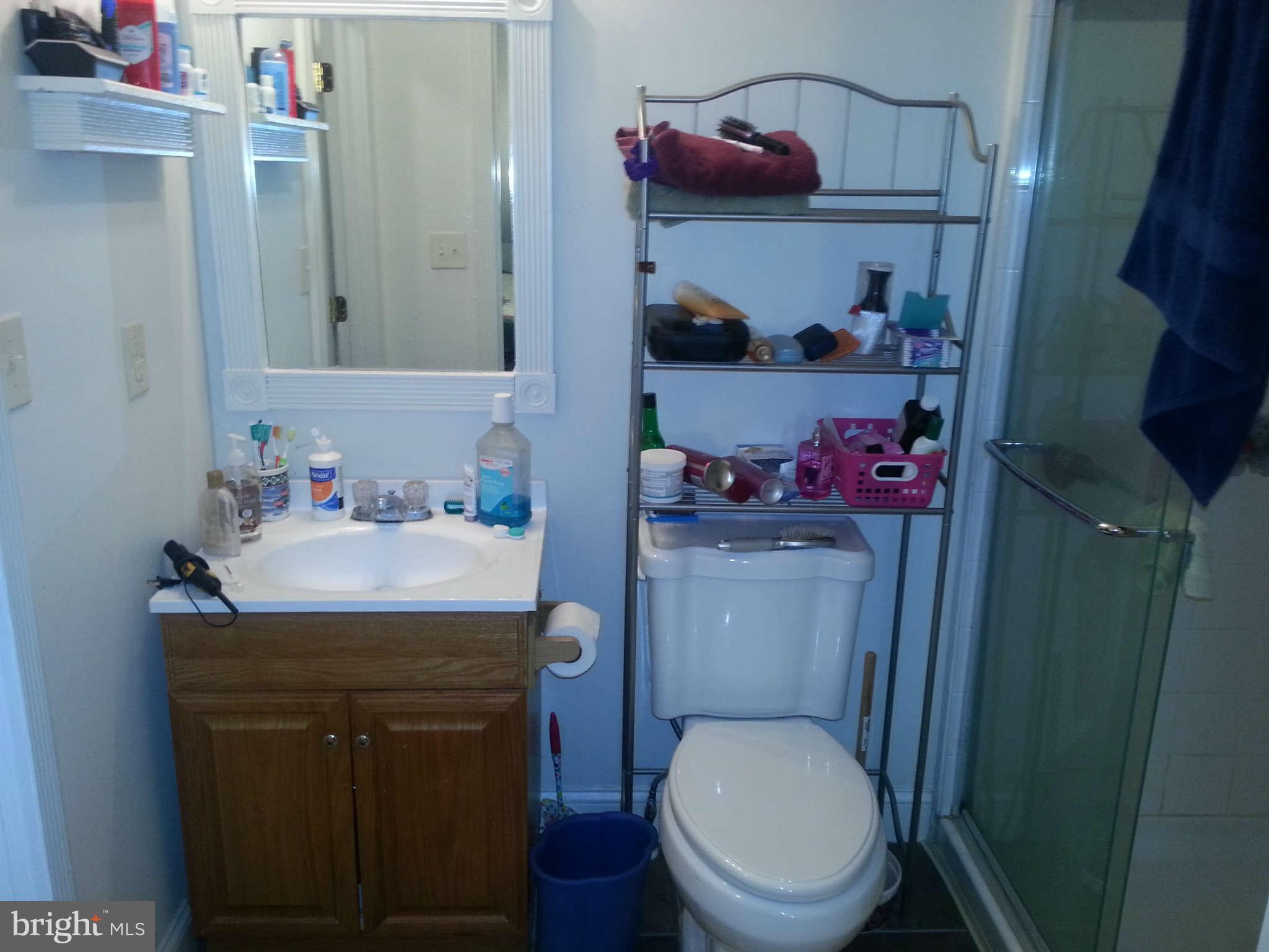 370 Nancy Jack Road Gerrardstown, WV 25420 - Photo 10 of 30 Bath (Master)