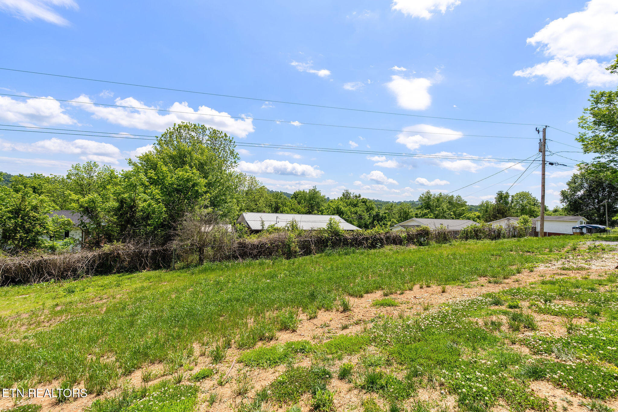 413 Whitaker Street Tazewell, TN 37879 - Photo 51 of 54 DSC01685