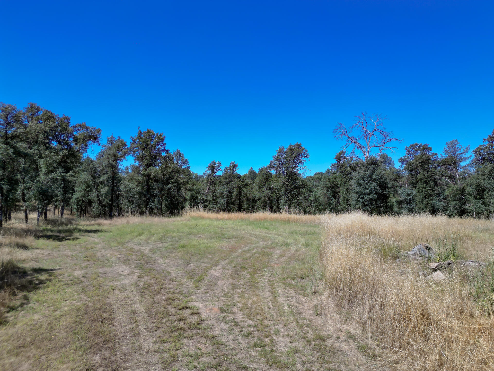 Jewell Road Cottonwood, CA 96022 - Photo 9 of 14 JewelRoadProperty-8 - Copy
