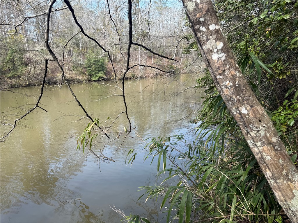 0 Holland Ford Road Pelzer, SC 29669 - Photo 8 of 35