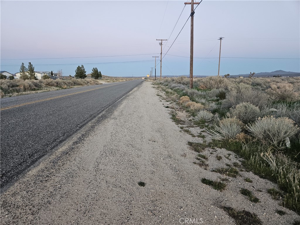 a view of a dry yard with a road
