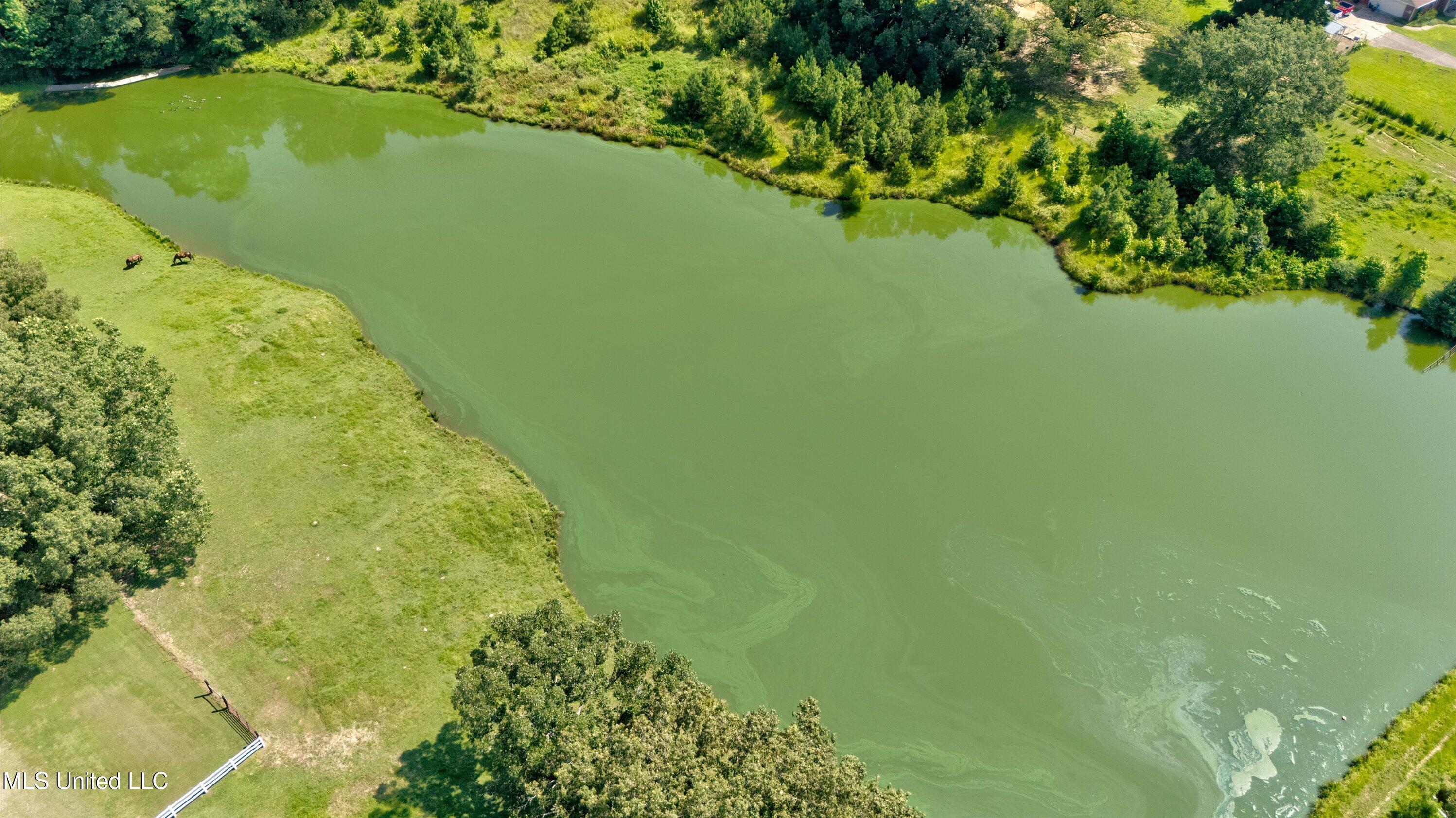 5054 Veazey Road Coldwater, MS 38618 - Photo 42 of 48 42-Drone-6