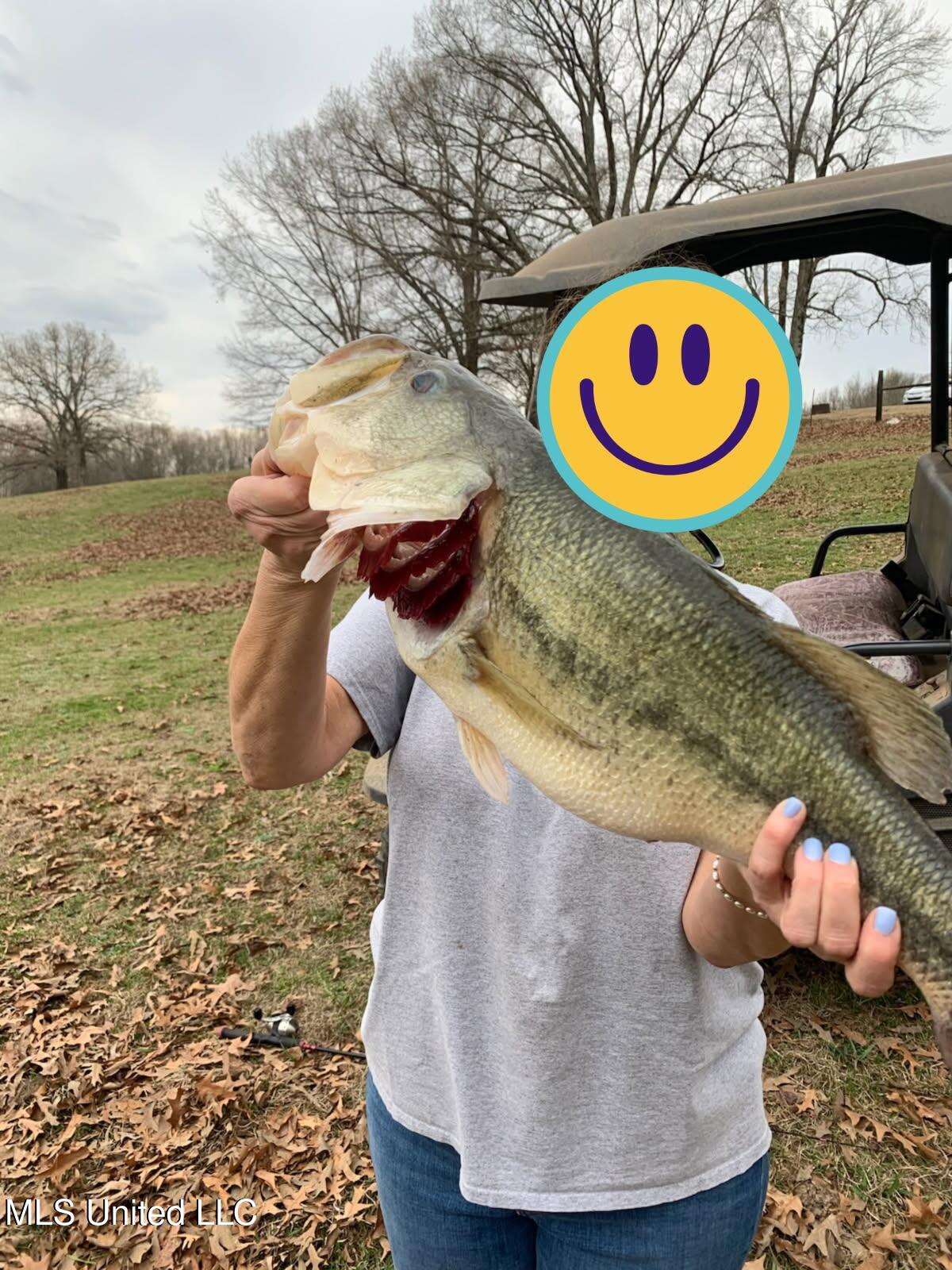 5054 Veazey Road Coldwater, MS 38618 - Photo 48 of 48 Untitled design