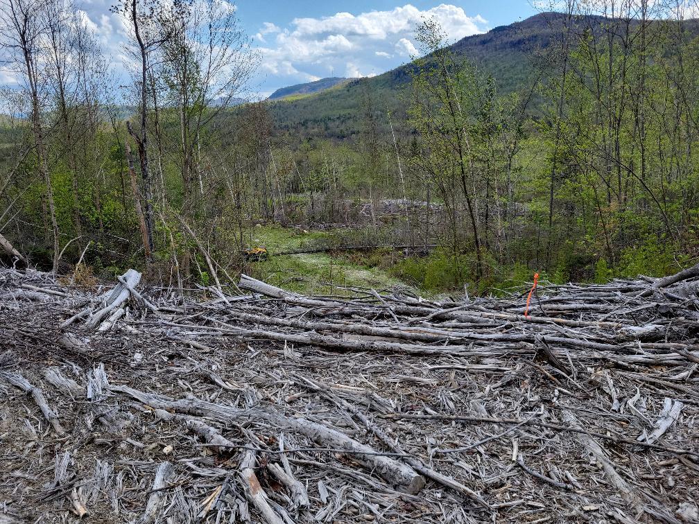 Lot 11 Swift River Road Byron, ME 04275 - Photo 66 of 72 Slash pile