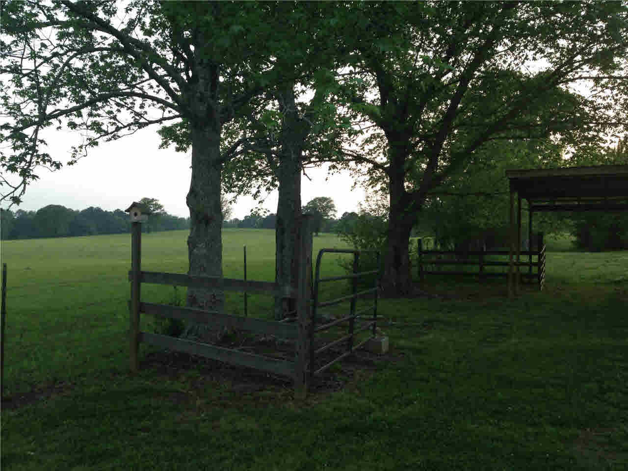 1780 Wade Patrick Road Braxton, MS 39044 - Photo 8 of 46 Photo 8