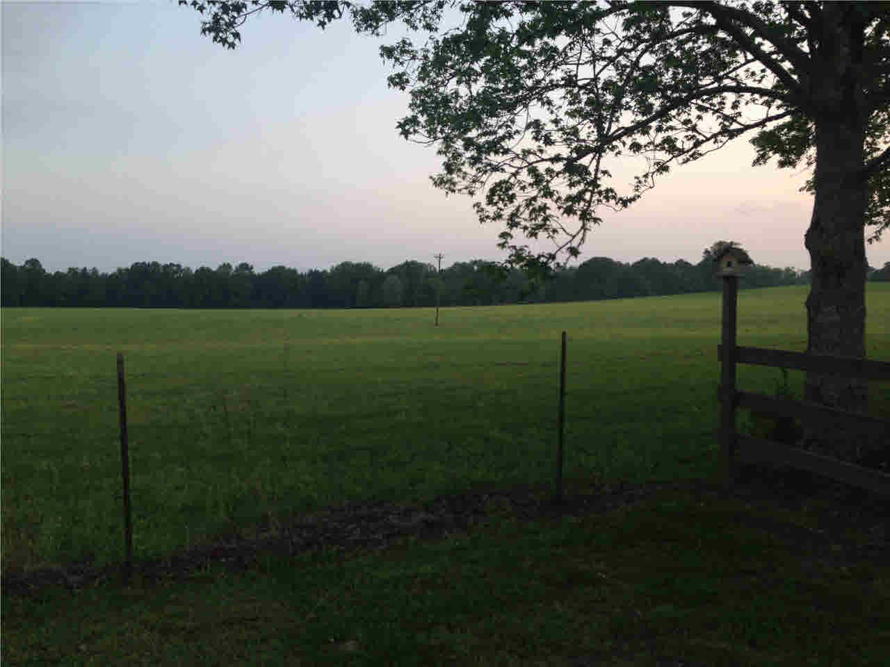1780 Wade Patrick Road Braxton, MS 39044 - Photo 9 of 46 Photo 9