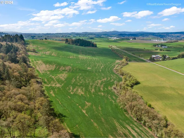 a view of a lake with a houses