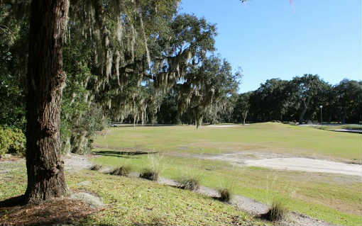 49 Sea Marsh Road Fernandina Beach, FL 32034 - Photo 24 of 24 a view of yard with trees
