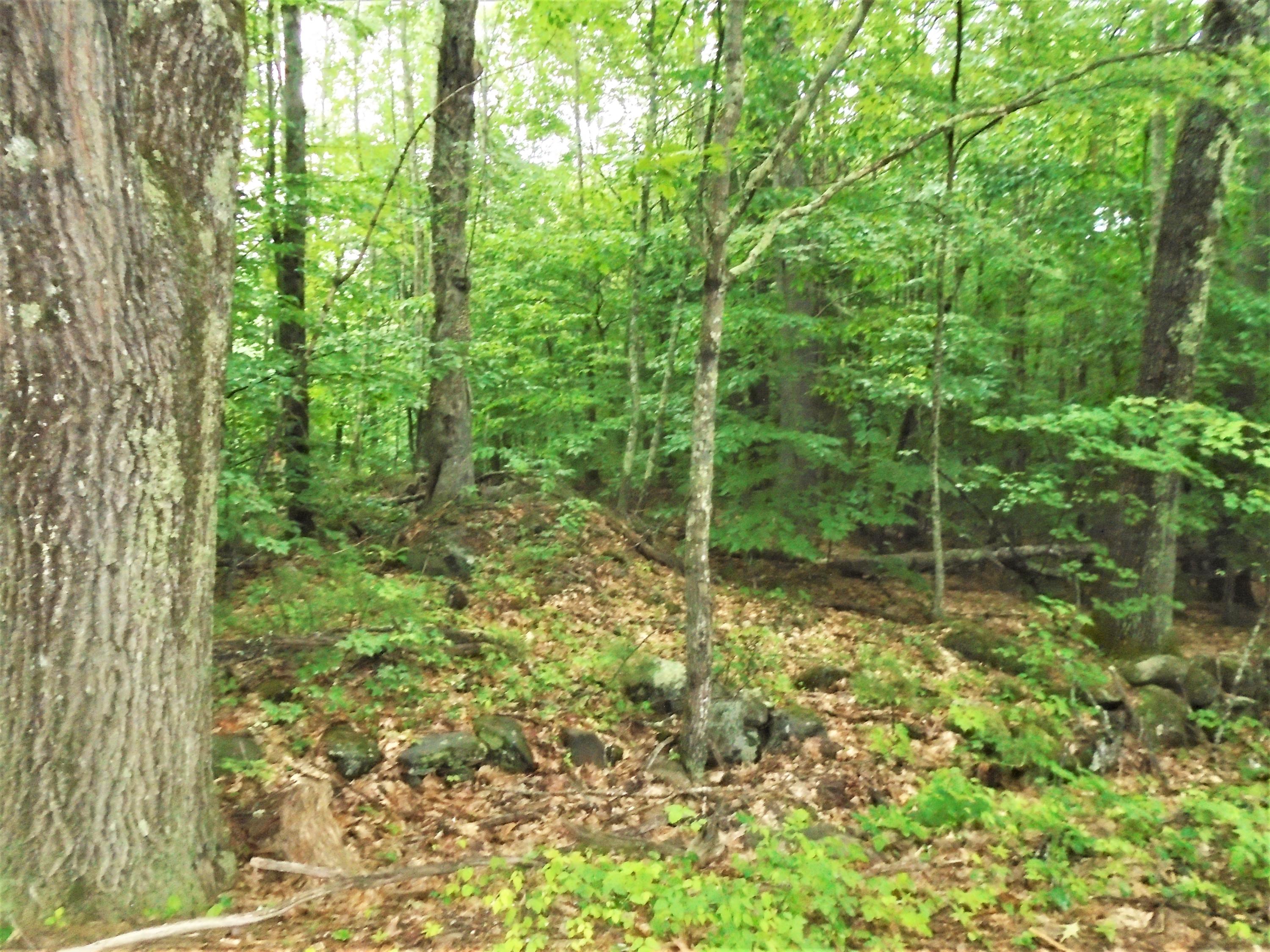 M14-l41b-1 New Bridge Road Lebanon, ME 04027 - Photo 2 of 15 7 Lebanon