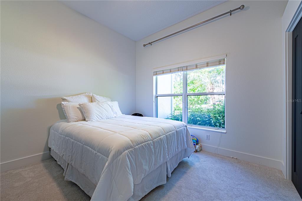 1543 Parilla Circle New Port Richey, FL 34655 - Photo 33 of 53