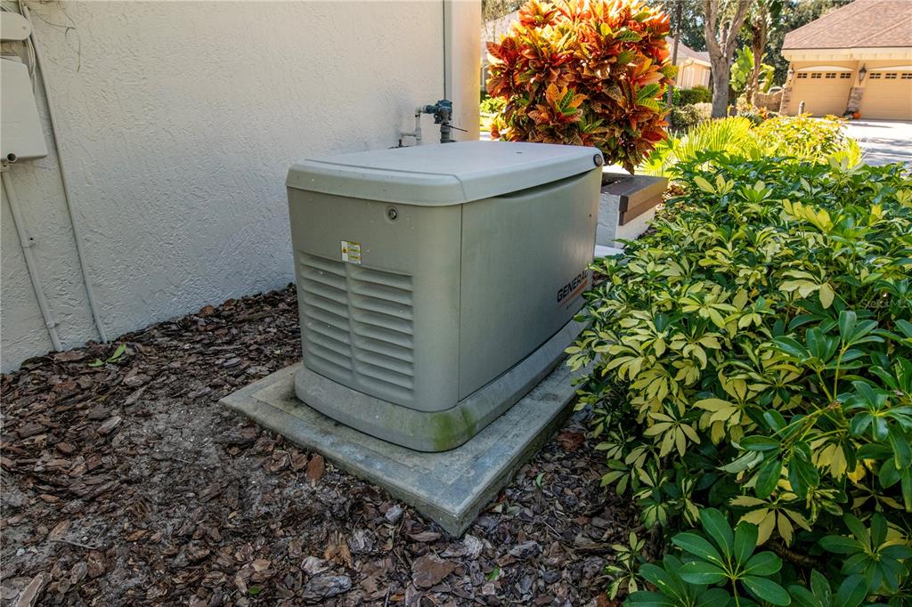 1543 Parilla Circle New Port Richey, FL 34655 - Photo 42 of 53