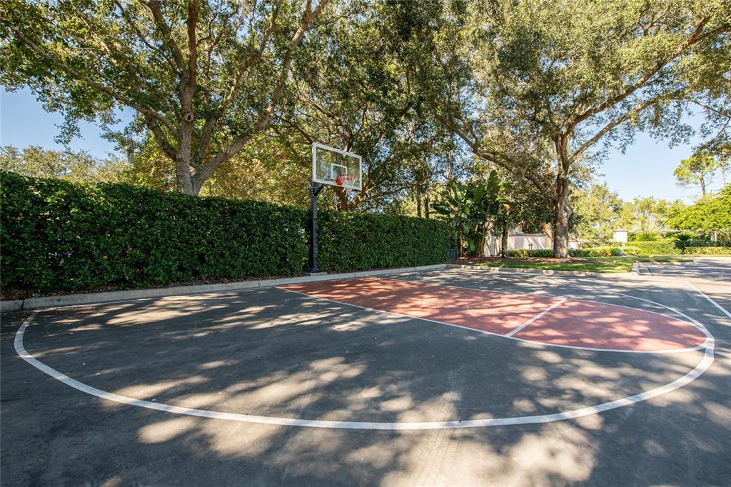 1543 Parilla Circle New Port Richey, FL 34655 - Photo 53 of 53