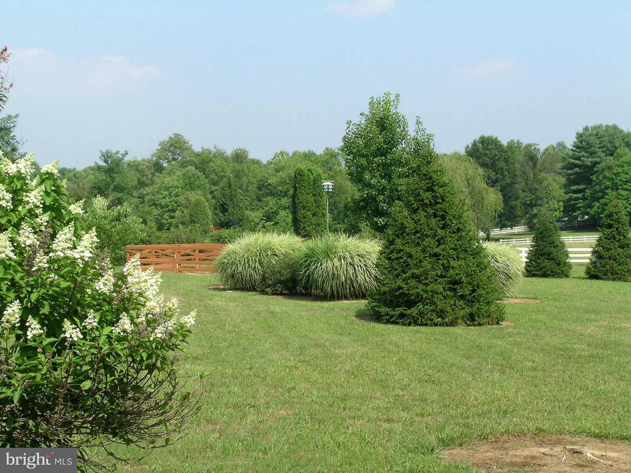 733 Utterback Store Road Great Falls, VA 22066 - Photo 17 of 27 Exterior (General)