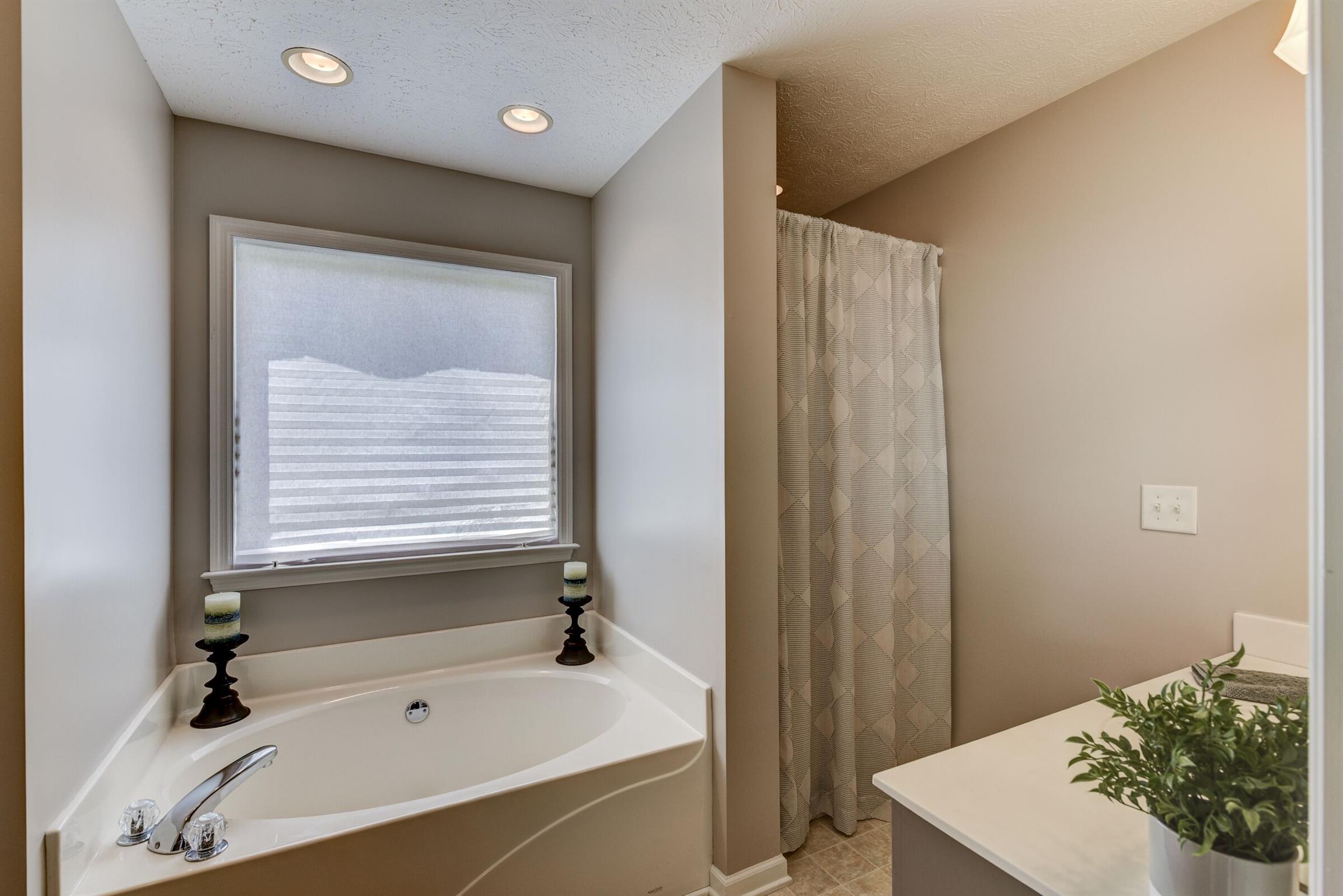 3726 Calista Road White House, TN 37188 - Photo 14 of 26 Seperate tub and shower