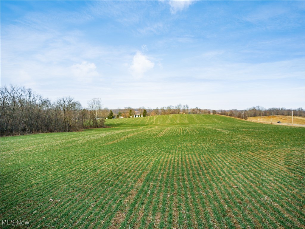 Carnation Road Nashport, OH 43830 - Photo 6 of 10