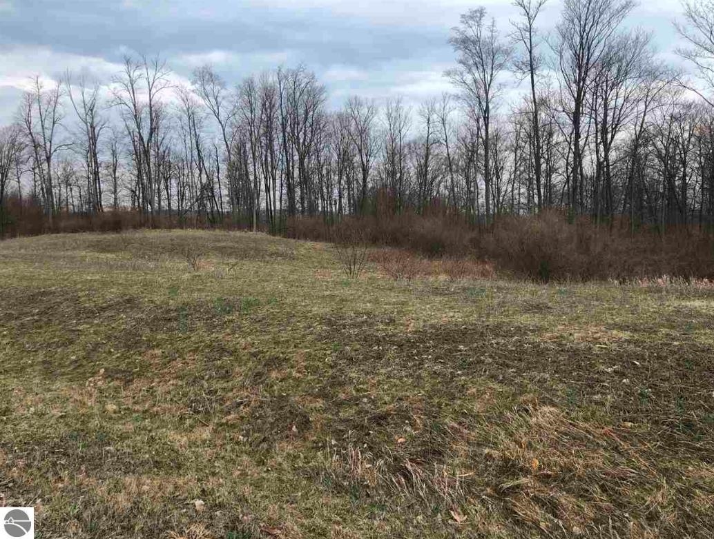 6550 Florey's Ranch Road, Unit LOT: 11 Grawn, MI 49637 - Photo 3 of 6