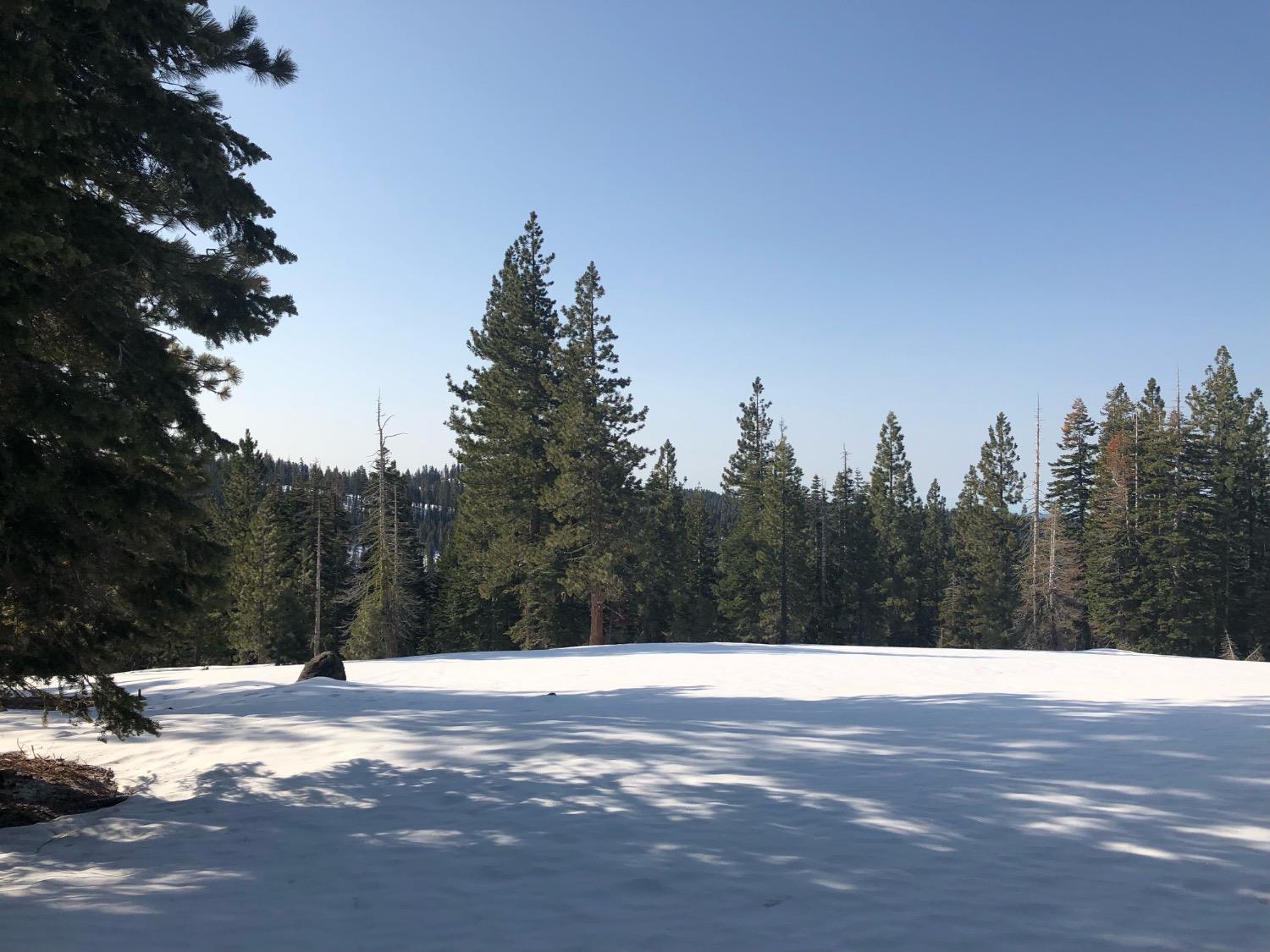 54 Liberty Road, Unit 54 Valley Springs, CA 95223 - Photo 2 of 8 a view of swimming pool and trees in the background