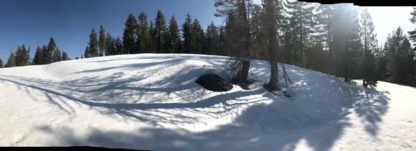 a view of a wooden fence with trees