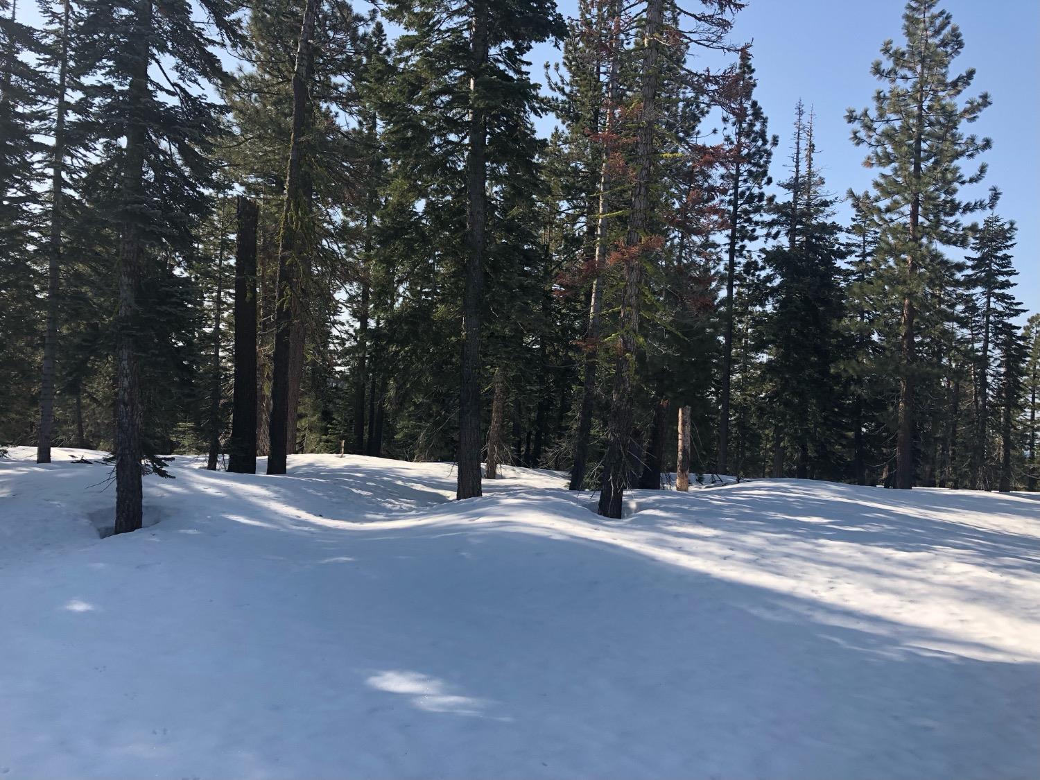54 Liberty Road, Unit 54 Valley Springs, CA 95223 - Photo 4 of 8 a view of street with trees