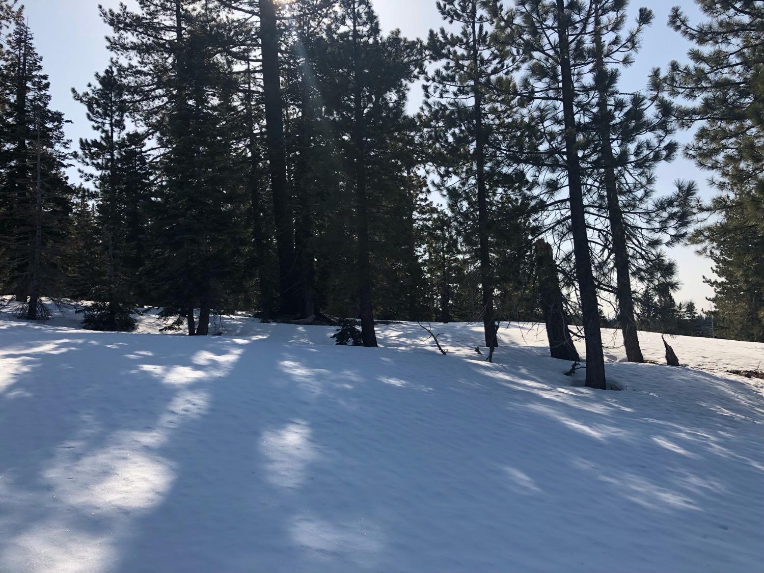 54 Liberty Road, Unit 54 Valley Springs, CA 95223 - Photo 5 of 8 a view of road and trees