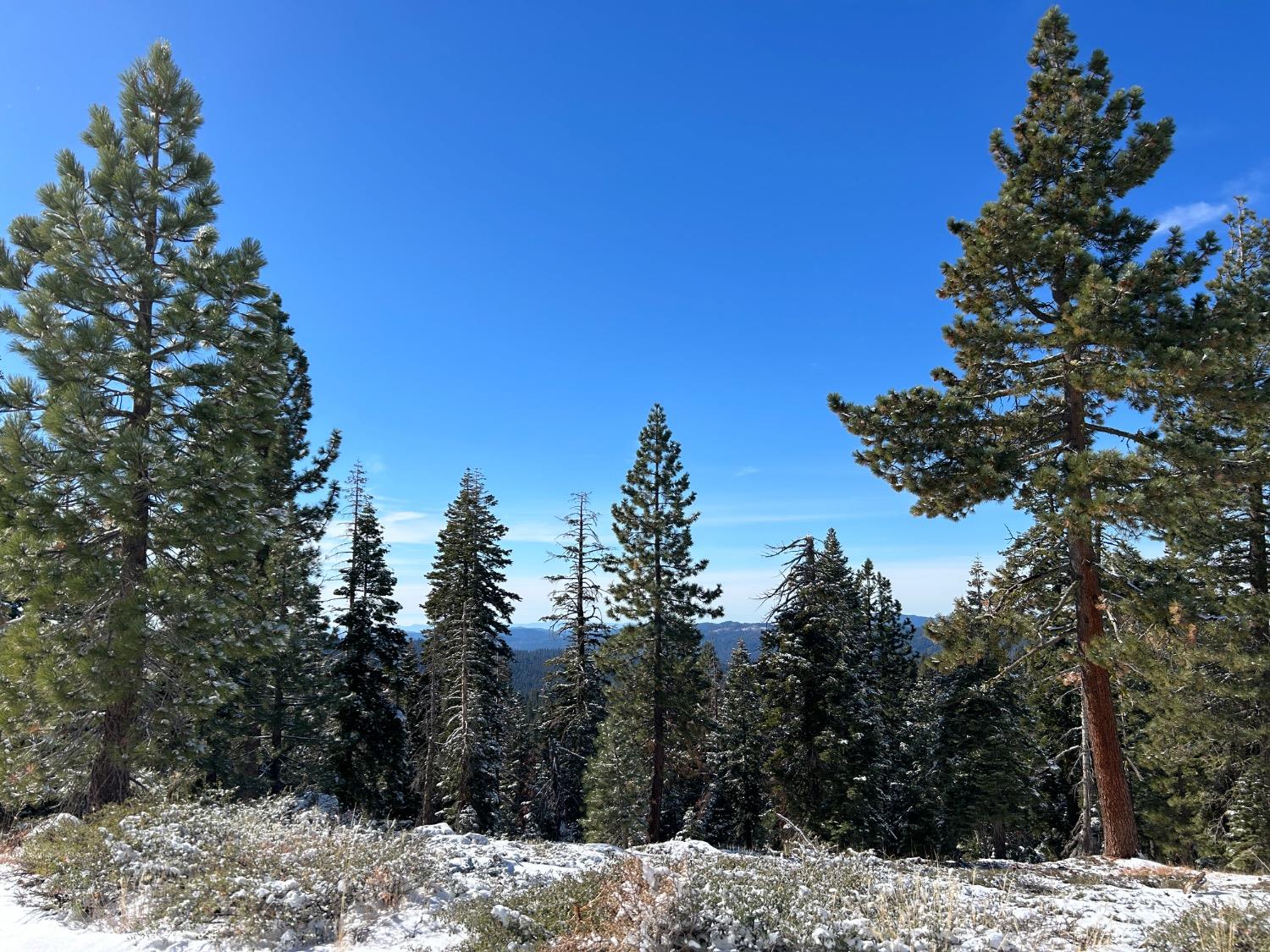 54 Liberty Road, Unit 54 Valley Springs, CA 95223 - Photo 6 of 8 a view of a snow on a field