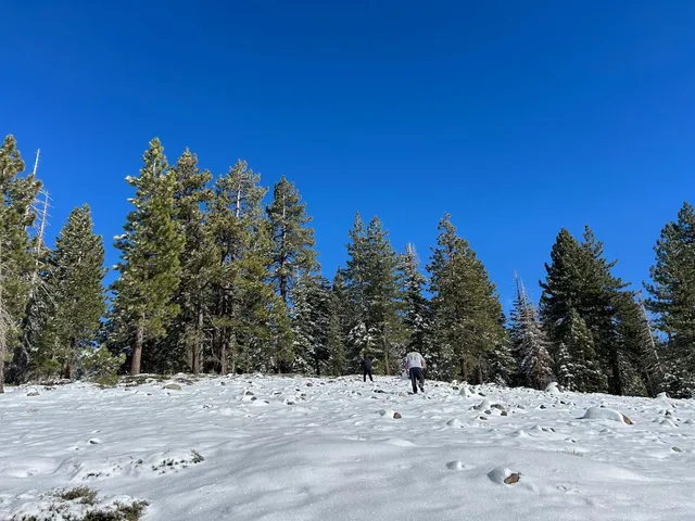 a view of a snow on the side of a road