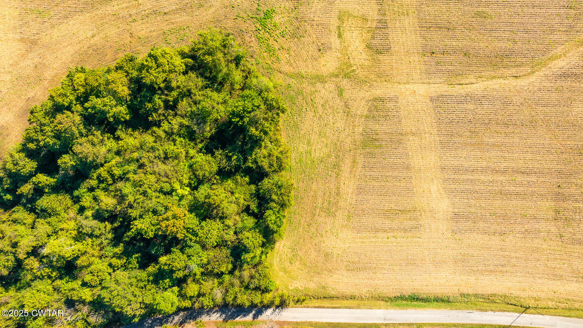 6 Hearn Road Greenfield, TN 38230 - Photo 3 of 17 DJI_20251009101447_0048_D