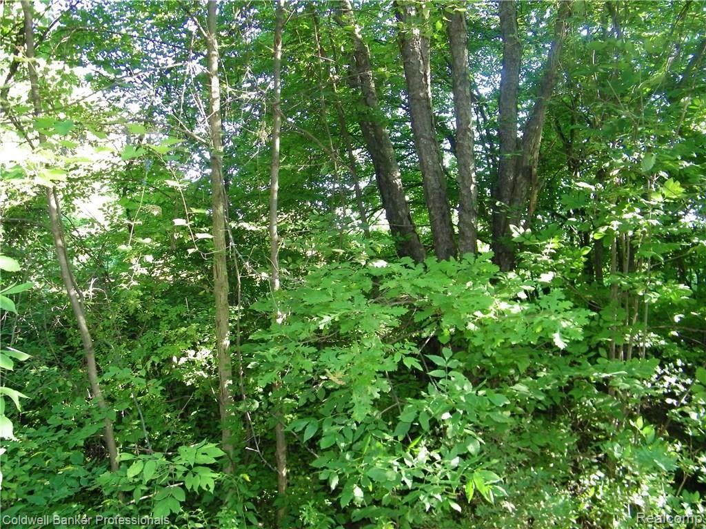 Par 1 Dodds Road North Branch, MI 48461 - Photo 2 of 7