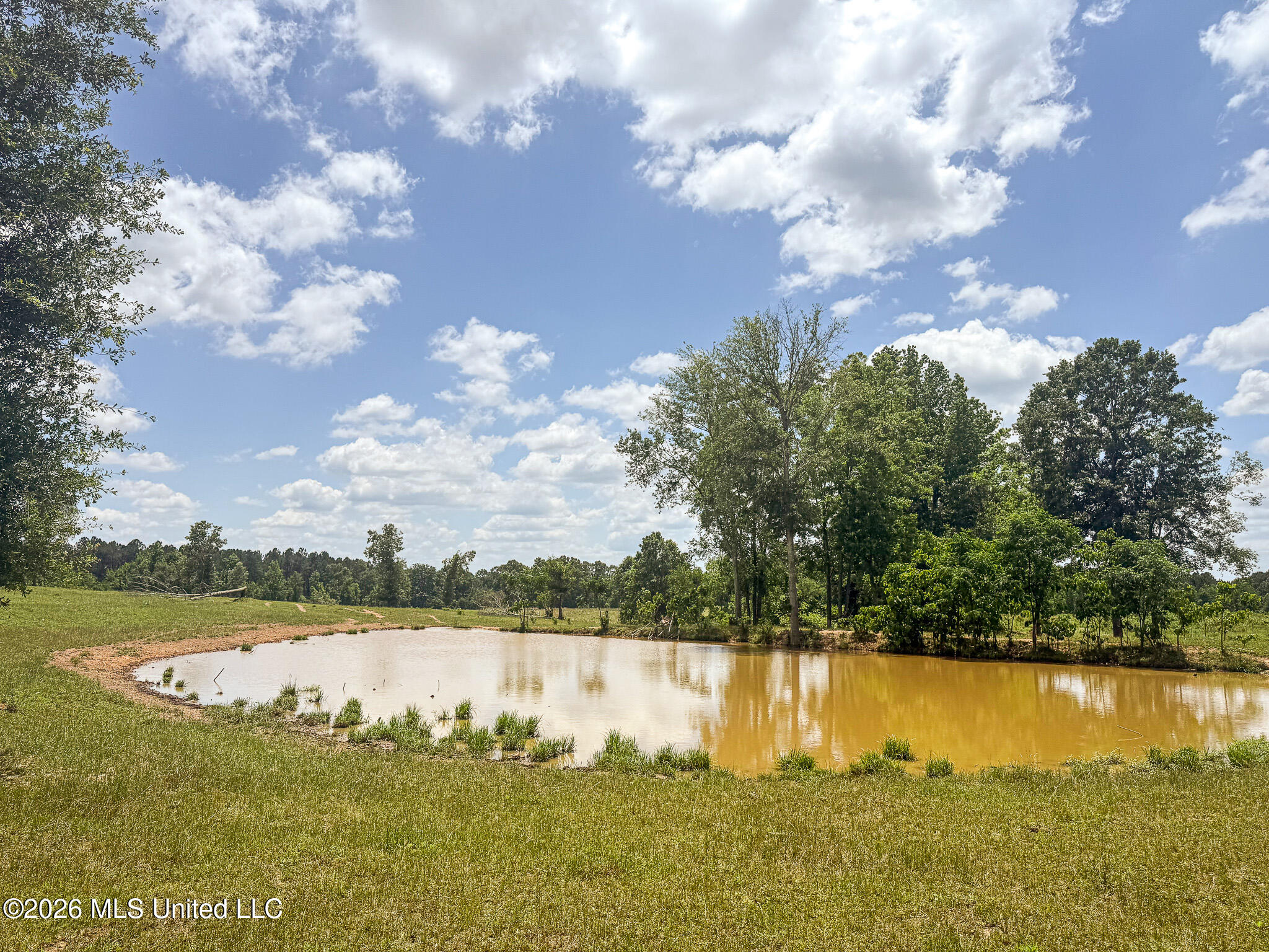 Southeast Gleenwood Road Southeast Ruth, MS 39662 - Photo 15 of 24 IMG_1404-2
