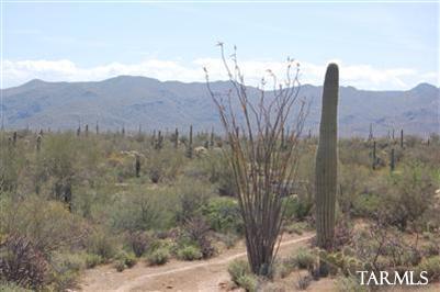 35000 South Owl Head Ranch Road, Unit 37000 Marana, AZ 85658 - Photo 6 of 13 Gallery Image 6