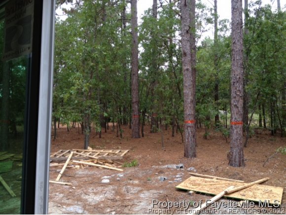 606 Longleaf Road Aberdeen, NC 28315 - Photo 12 of 13 a view of a backyard with trees