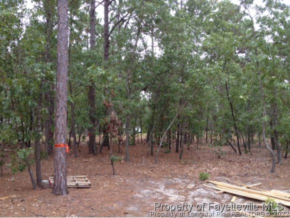 606 Longleaf Road Aberdeen, NC 28315 - Photo 13 of 13 a view of a forest with trees in the background