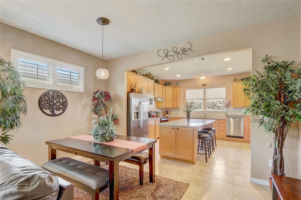 9673 Southwest 63rd Loop Ocala, FL 34481 - Photo 7 of 31 Gallery Image 7