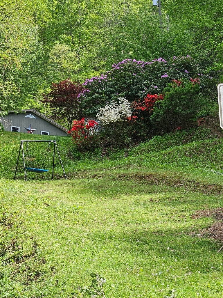 2474 Bear Branch Road Vansant, VA 24656 - Photo 19 of 27 Gallery Image 19