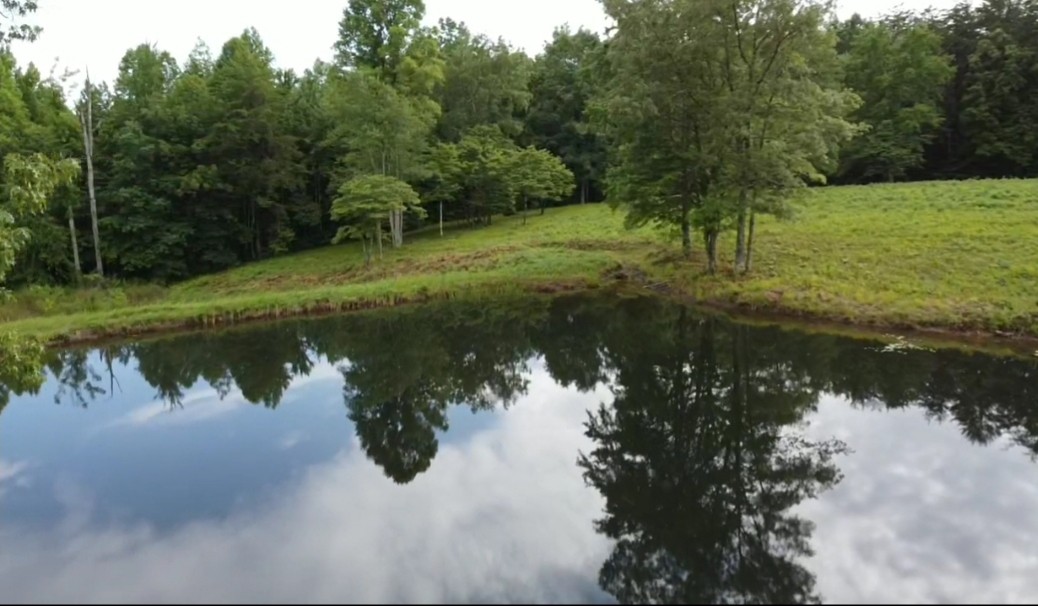 120 Groves Road Pikeville, TN 37367 - Photo 1 of 10 Gallery Image 1