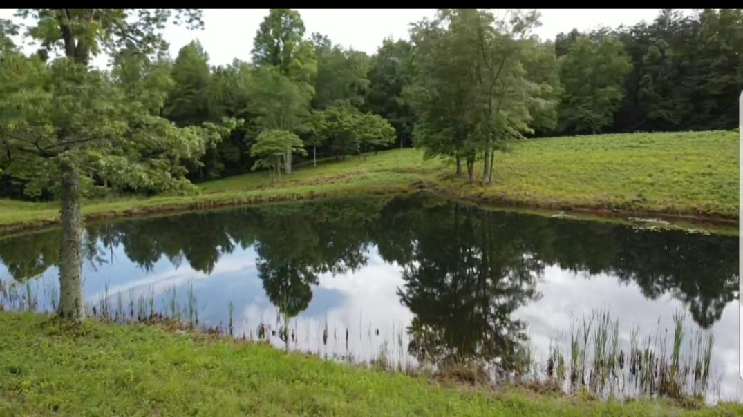 120 Groves Road Pikeville, TN 37367 - Photo 4 of 10 Gallery Image 4