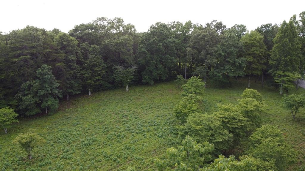 120 Groves Road Pikeville, TN 37367 - Photo 8 of 10 Gallery Image 8