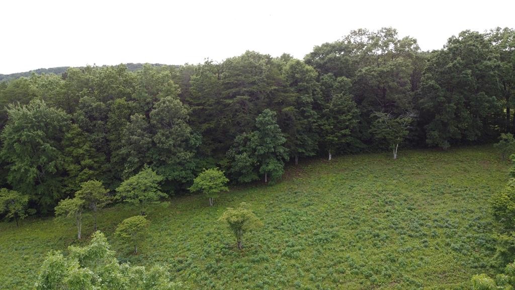 120 Groves Road Pikeville, TN 37367 - Photo 10 of 10 Gallery Image 10